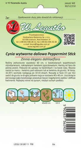 Cynia wytworna dal. nakrap. Peppermint Stick