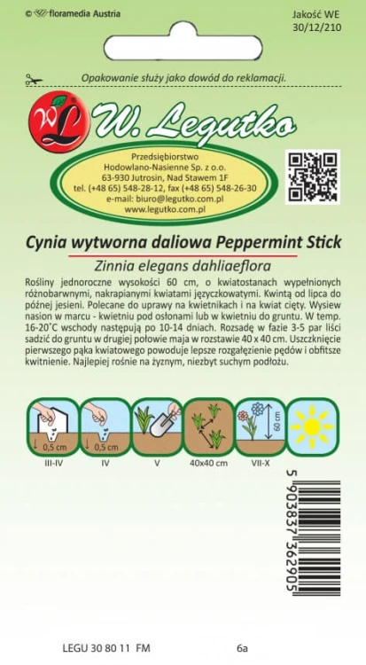 Cynia wytworna dal. nakrap. Peppermint Stick
