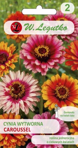 Cynia wytworna dwubarw.Caroussel