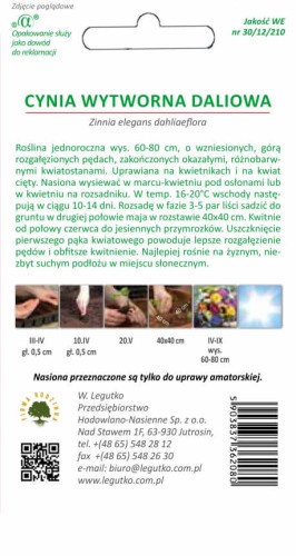 Cynia wytworna daliowa