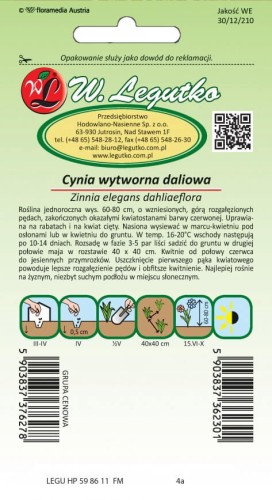 Cynia wytworna dal. Scarlet Flame