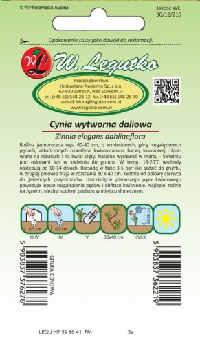 Cynia wytworna dal. Eldorado