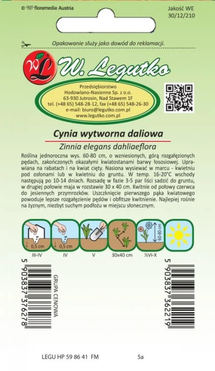Cynia wytworna dal. Eldorado