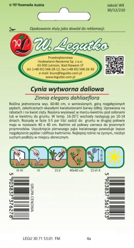 Cynia wytworna dal. Canary Bird
