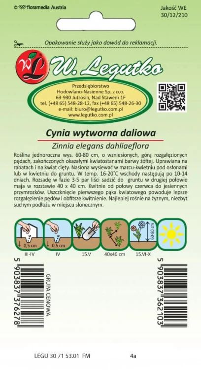 Cynia wytworna dal. Canary Bird