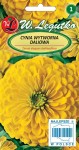 Cynia wytworna daliowa - Canary Bird