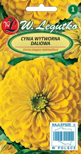 Cynia wytworna dal. Canary Bird
