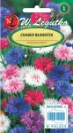 Chaber bławatek mieszanka