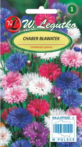Chaber bławatek