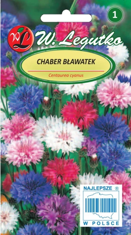 Chaber bławatek