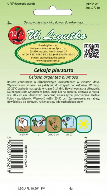 Celozcja pierzasta