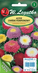 Aster chiński pomponowy - mieszanka