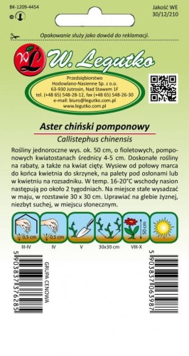 Aster chiński pompon. fioletowy