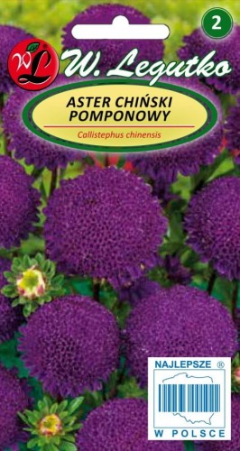 Aster chiński pompon. fioletowy