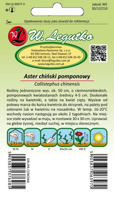 Aster chiński pompon. niebieski