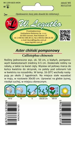 Aster chiński pompon. biały