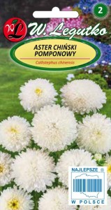 Aster chiński pomponowy - biały