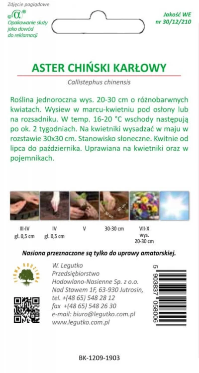 Aster chiński karł. mieszanka