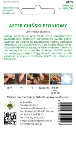 Aster chiński peoniowy mieszanka