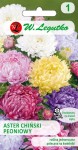 Aster chiński peoniowy mieszanka