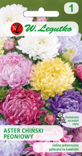 Aster chiński peoniowy mieszanka