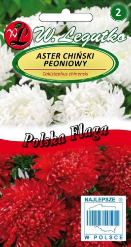 Aster chiński peoniowy Polska Flaga