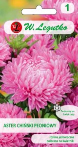 Aster chiński peoniowy różowe