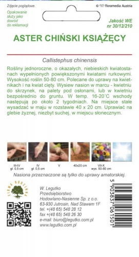 Aster chiński książęcy niebieski