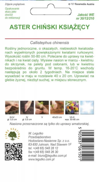 Aster chiński książęcy niebieski