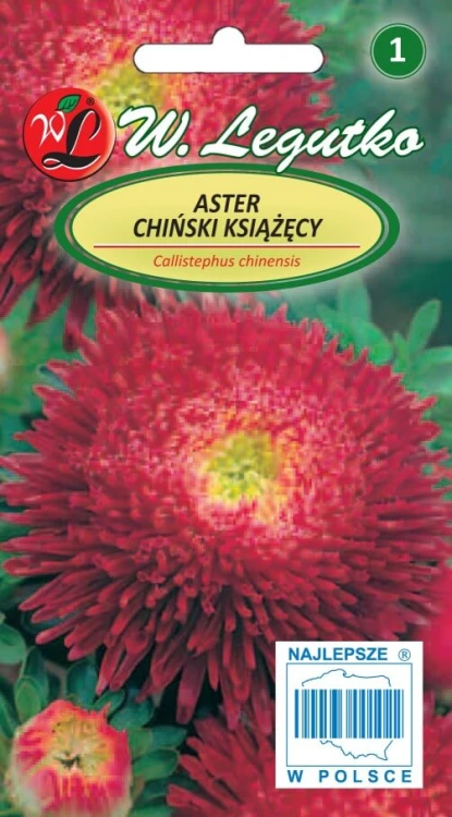 Aster chiński książęcy czerwony