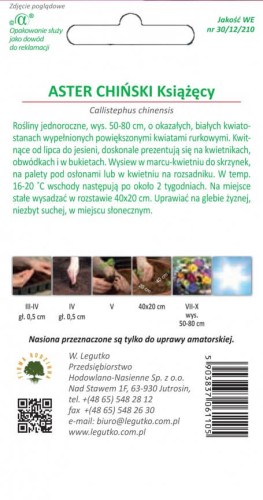 Aster chiński książęcy biały