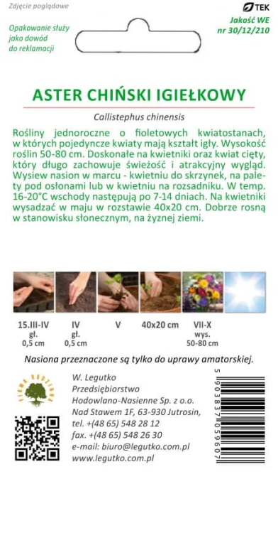 Aster chiński igiełkowy fioletowy