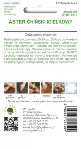 Aster chiński igiełkowy czerwony