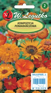Kompozycja pomarańczowych kwiatów