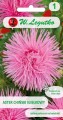 Aster chiński igiełkowy różowy