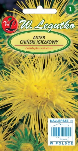 Aster chiński igiełkowy żółty