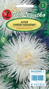 Aster chiński igiełkowy białe