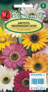 Arktotis, Niedźwiedzie ucho mieszanka