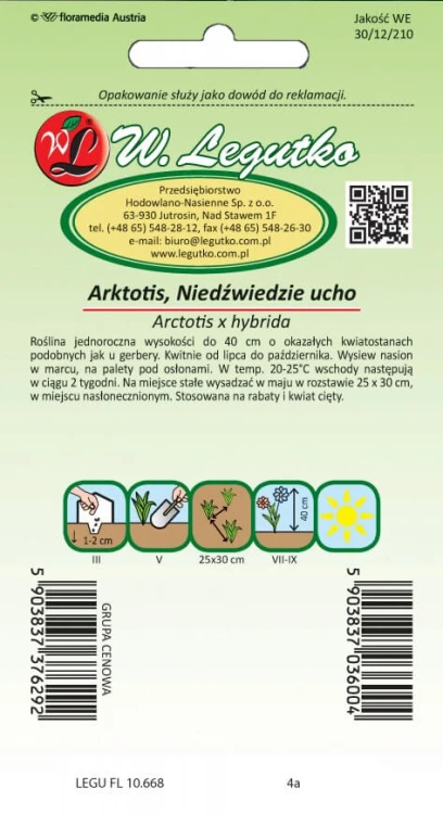 Arktotis, Niedźwiedzie ucho
