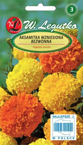 Aksamitka wzniesiona Odourless mieszanka bezwonna