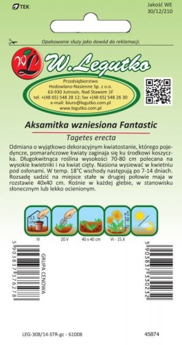 Aksamitka wzniesiona Fantastic pomarańczowa