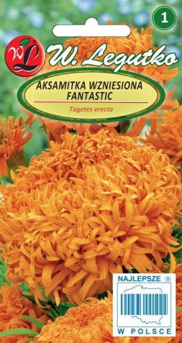 Aksamitka wzniesiona Fantastic pomarańczowa