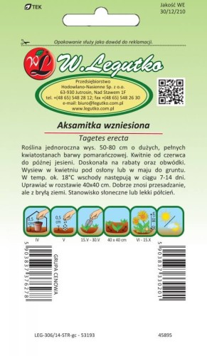 Aksamitka wzniesiona pomarańczowa
