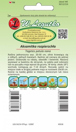 Aksamitka rozpierzchła peł. żółta