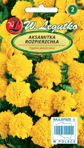 Aksamitka rozpierzchła peł. żółta