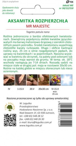 Aksamitka rozpierzchła poj. Mr Majestic mahoniowobrązowa