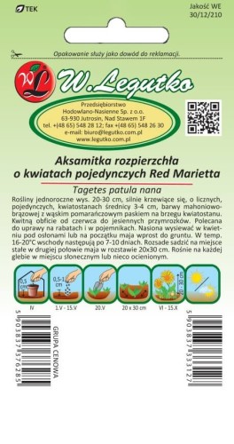 Aksamitka rozpierzchła poj. Red Marietta