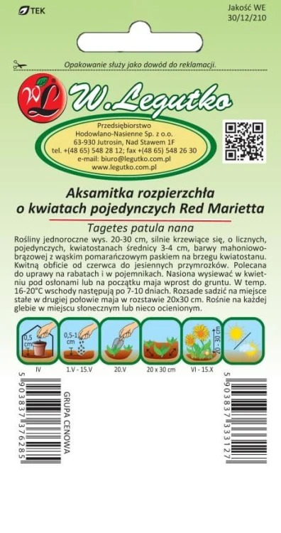 Aksamitka rozpierzchła poj. Red Marietta