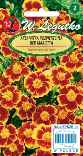 Aksamitka rozpierzchła poj. Red Marietta