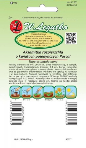 Aksamitka rozpierzchła poj. Pascal